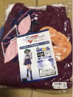 Item thumbnail for item 99b4c39c-0116-4051-9832-e07e01cf9f13