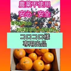 コロコロ様専用出品