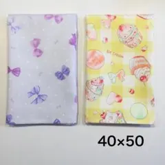 ランチョンマット　40×50 小学校 2枚セット