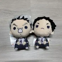 ハイキュー!!もちぴこぬいぐるみ 木兎光太郎 赤葦京治　全2種セット
