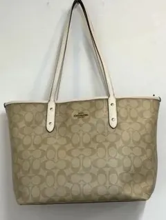 Item thumbnail for item 6005dd0d-ab15-4d7e-8e68-69a14f6704db