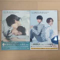 美しい彼　公式ビジュアルブック　2点