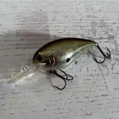 Item thumbnail for item a51a2485-0ecc-49a1-8cad-a4256e97fb31