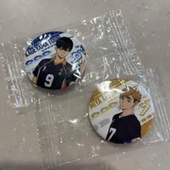 ハイキュー 缶バッジ 助走 月島蛍 山口忠 まとめ売り - メルカリ