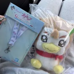 プリキュア一番くじC賞　G賞