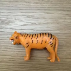 スーパーアニマル　アンドコ　とら　虎　トラ
