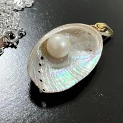 天然 あわび 貝殻 パール ネックレス チャーム ペンダント シェル 魔除けのサムネイル