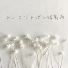 みぃこじゃぱん様 リクエスト 2点 まとめ商品