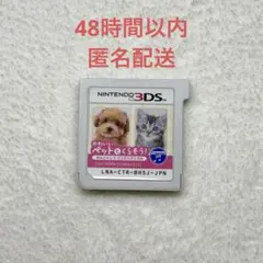 A-386 かわいいペットとくらそう！