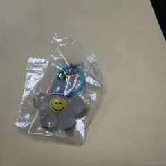 TRUZ めじるしアクセサリー　ROMY
