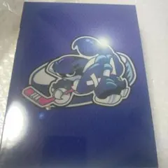プライド DVD-BOX 4枚組+特典ディスク - メルカリ