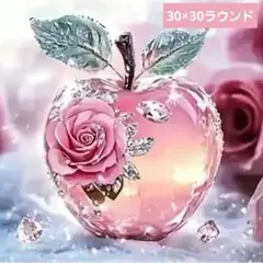 No 6673　ダイヤモンドアートキット　未使用品