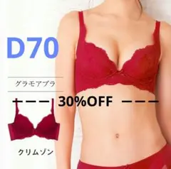 グラモア 育乳ブラ D70 クリムゾン 赤 ３０%OFFのサムネイル