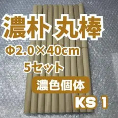 【こうき！！バチ】 けいたバチ 太鼓の達人 マイバチ 朴 一般販売227 こうき！！バチ】 けいたバチ 太鼓の達人 マイバチ 朴 一般販売227