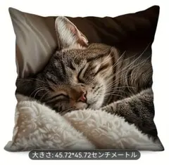 Item thumbnail for item f8f529da-81a5-4c80-95e3-3c37a5dc6100