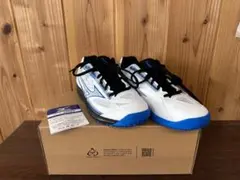 ミズノ　テニスシューズ　ブレイクショット４　２４．５㎝