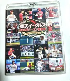 Item thumbnail for item 9d8d47ea-2945-4482-b09e-b3805ddcb146