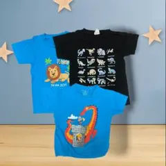 Tシャツ3枚セット（ライオン・ドラゴン・恐竜）