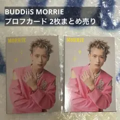 BUDDiiS MORRIE プロフカード 2枚まとめ売り