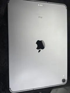 藤*本様 ジャンク iPad Pro 11インチ 第2世代 256GB箱付シャッ - メルカリ
