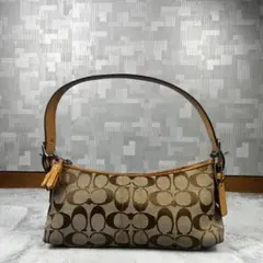 Coach アクセサリーポーチ シグネチャー ベージュ ハンドバッグ