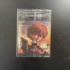 エヴァンゲリオンウエハース シークレット 渚カヲル