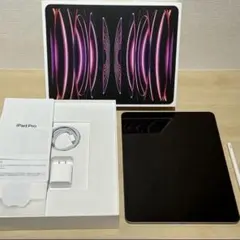 Apple 12.9 iPad Pro 256GB 第6世代