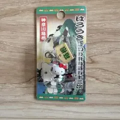 ご当地 ハローキティ 信州限定 野沢菜 ストラップ - メルカリ