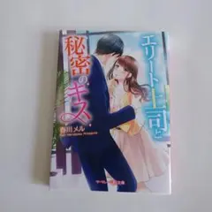 エリート上司と秘密のキス