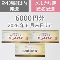 ヤマダ電機 株主優待券 6000円分（500円×12枚）2026年6月末日まで