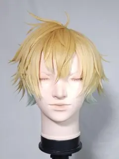 【現品のみ・即購入可️⭕️】宇佐美リト コスプレウィッグ