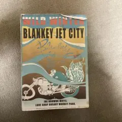 訳アリ‼️ WILD WINTER BLANKEY JET CITY