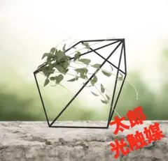 光触媒 人工観葉植物 ウォールグリーン フェイクグリーン 壁面緑化 