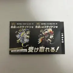 ポケモン　コライドン　ミライドン　色違い　スカーレット　バイオレット