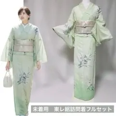 未着用 東レシルック系 絽訪問着フルセット 夏小物付き 上品夏コーデのサムネイル