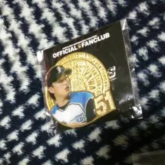 石川直也メダルのサムネイル
