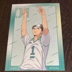 ハイキュー　及川徹　ポストカード