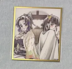 鬼滅の刃 アクリル色紙 胡蝶しのぶ 栗花落カナヲ