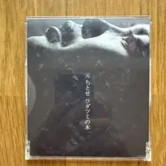 [未使用品 アナログレコード 12インチ 黒盤]　元ちとせ　ワダツミの木 元ちとせ『ワダツミの木』12inchアナログ盤、2nd Press 2023年5