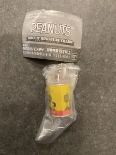 PEANUTS スヌーピー ビスケットミニチュアチャーム 丸缶 ガチャ