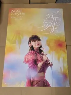 会場限定】乃木坂46 岩本蓮加 是非に及ばず B2ポスター - メルカリ