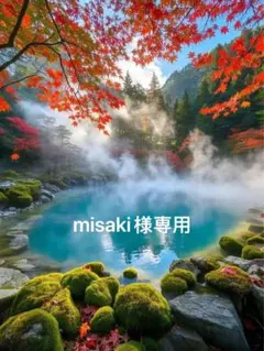 misaki様専用