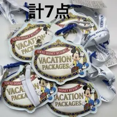 ディズニー バケーションパッケージ パスケース ミッキーマウス 未使用