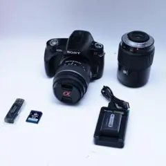 2026年最新】SONY α230の人気アイテム - メルカリ