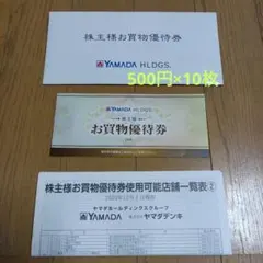 ヤマダ電機　株主優待券5千円分（500円×10枚） YAMADA HLDGS