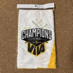 ソフトバンクホークス 応援タオル 2024