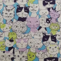 猫さん ユニーク B