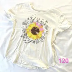 ギャップキッズ　GAP kids 白　Ｓ　120 ひまわり Tシャツ まとめ買割のサムネイル