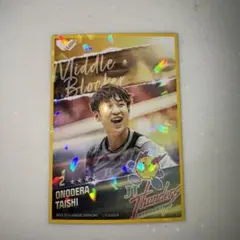 バレー Vリーグ Vコレ リアルカード 小野寺太志