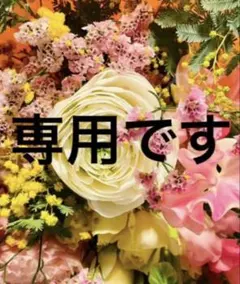 専用ページ